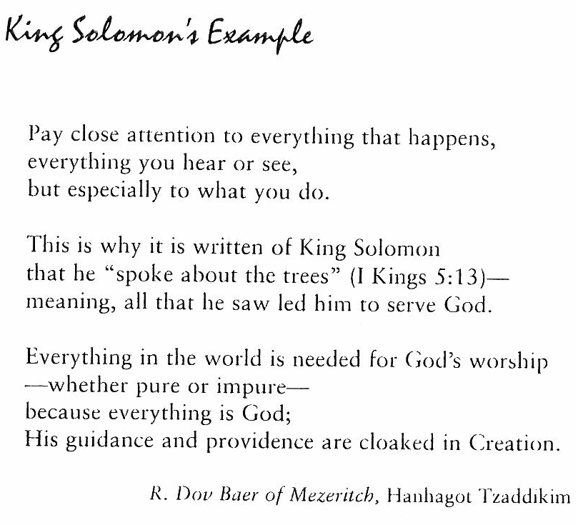 King Solomon’s Example